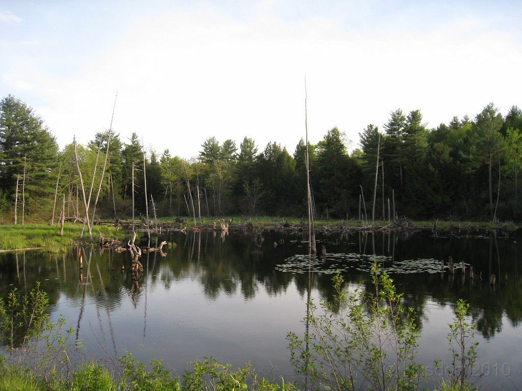 Tilton NH Rail Trail 2010 0420.jpg - Winnipesaukee River Trail, Franklin New HampshireTrestle View ParkInterested in taking a walk or bike ride on a scenic historic trail close to the downtowns of the twin rivers area, yet with the feel of wilderness. A 3 mile trail parallels the Winnipesauke river and passes the historic Sulphite upside down covered bridge believed to be the only one in the country and listed on the national register of historic places. You will also view mill ruins and remaining portions of dams that tell the history of the 5 mills that operated on this river in the mid 19th century.